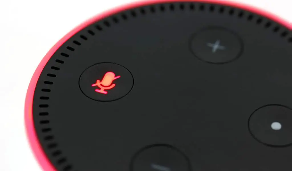You are currently viewing Should I Turn Alexa Off at Night?