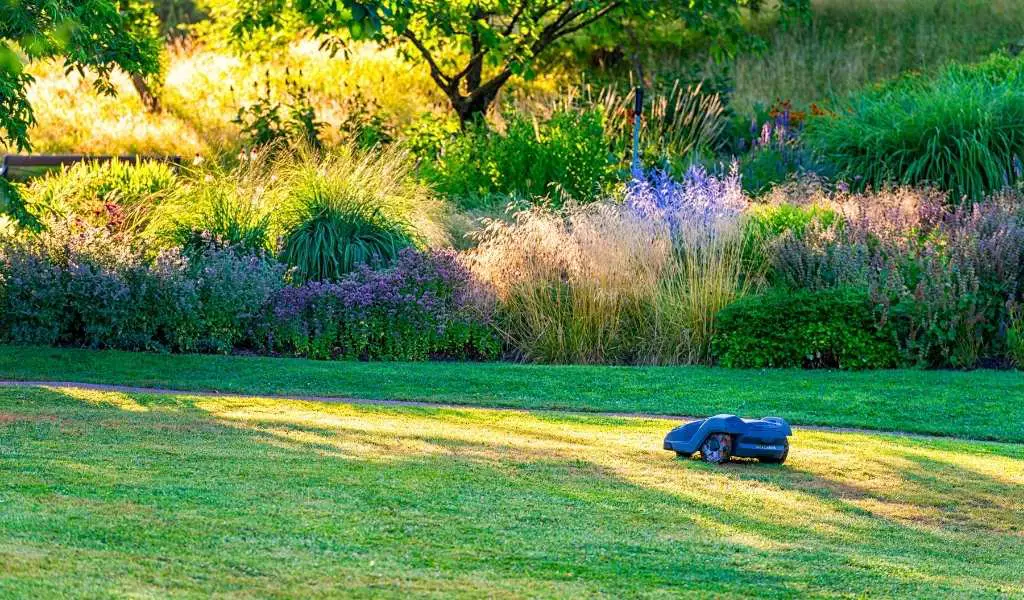 You are currently viewing Best Robot Lawn Mowers for Large Lawns
